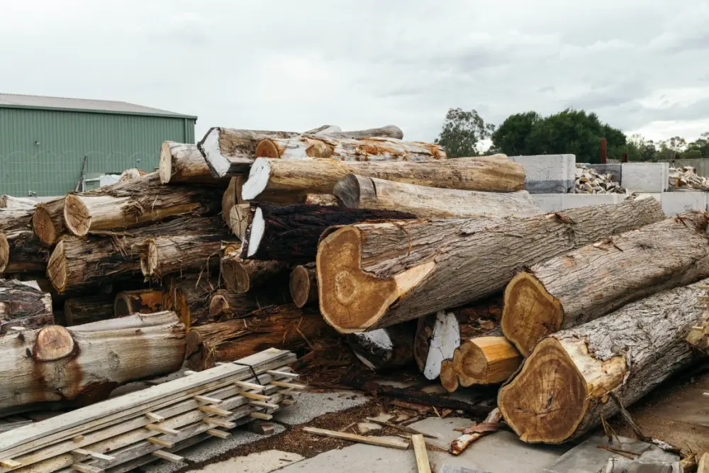 Il mercato tedesco del legno di scarto resta stabile, ma le prospettive invernali sollevano preoccupazioni